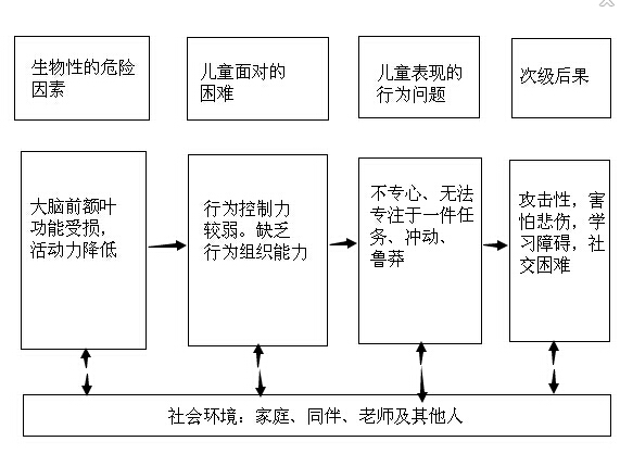形成注意力缺损多动障碍的解释框架
